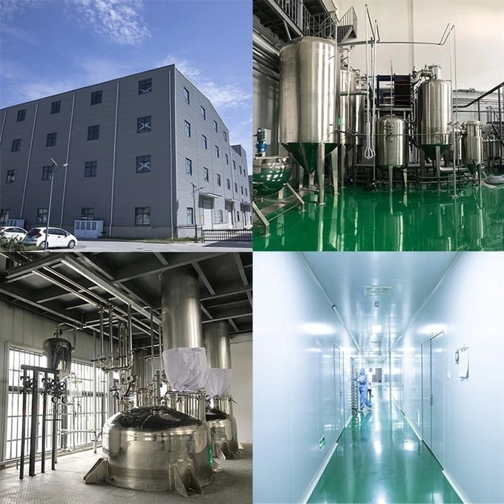 Citron Powder suppliers